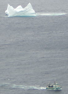 iceberg newfoundland 2007