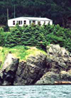 witless bay whale watcher inn