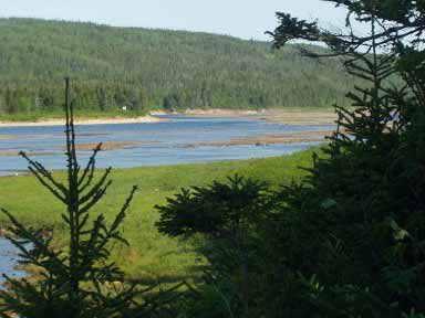 Long Harbour River 