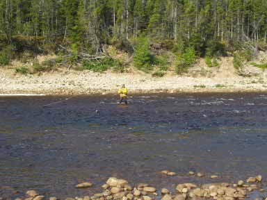 Fishing Atlantic salmon